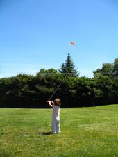 Go fly a kite