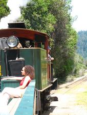 tulia/2007-05-12_Roaring_camp_train/IMG_3898_800.jpg