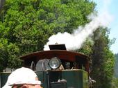 tulia/2007-05-12_Roaring_camp_train/IMG_3902_800.jpg