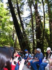 Roaring Camp railroad